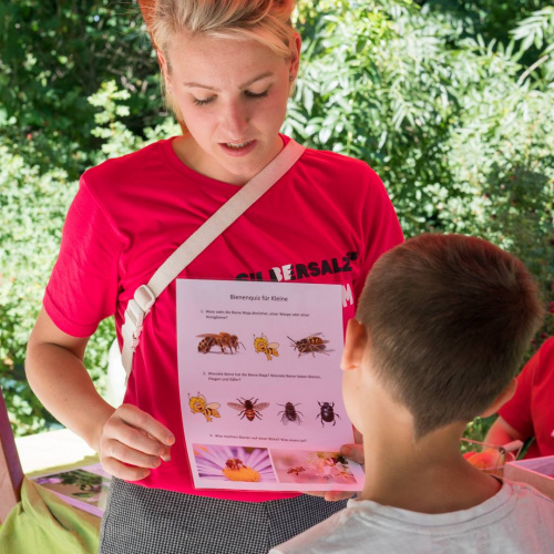 Volunteers at SILBERSALZ Science & Media Festivals 2018