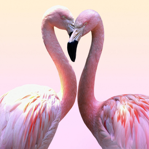 SILBERSALZ Festival in the Zoo – "The Science of Love"