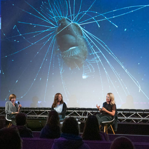 "Hoch Oben Tief Unten" im Dom zu Halle | SILBERSALZ Festival 2021 | credit: Joachim Blobel