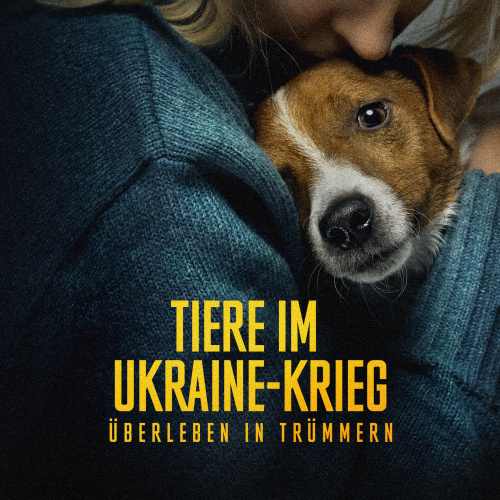 Tiere im Ukraine-Krieg – Überleben in Trümmern