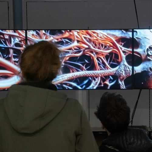 © SILBERSALZ 2024, Joachim Blobel