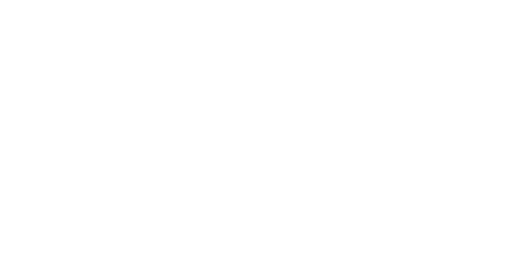 Robert Bosch Stiftung