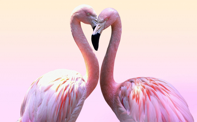 SILBERSALZ Festival in the Zoo – "The Science of Love"