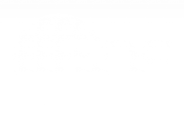 ZDF Logo