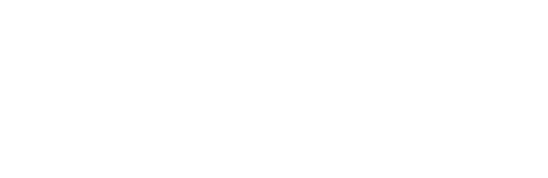 Volkswagenstiftung
