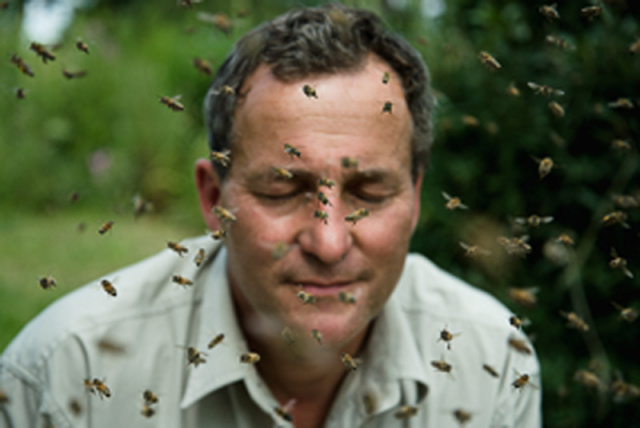 SILBERSALZ Festival in the Zoo – "Ecological Beekeeping" SILBERSALZ Festival in the Zoo – "Ecological Beekeeping"