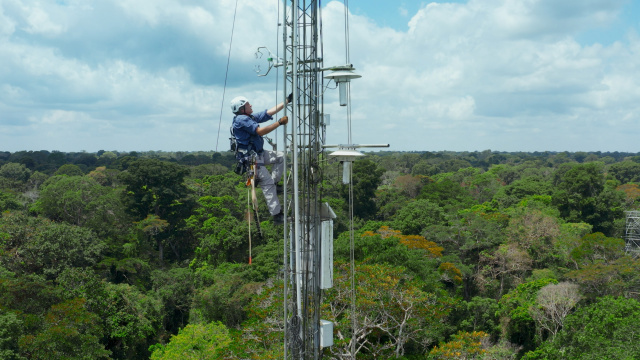 Rivers above the canopy | credit: ZED, Grifa Filmes| Silbersalz 2022