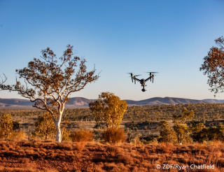 SILBERSALZ Awards - Anthropocene – The Rise of Humans