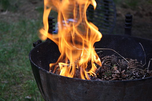 By Frettie, from Wikimedia Commons SILBERSALZ Festival Besser Grillen