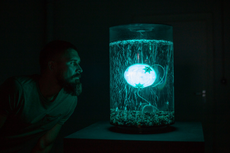 ArchaeaBot (credit: Anna Dumitriu_2018_Installation_View at LABoral) ArchaeaBot