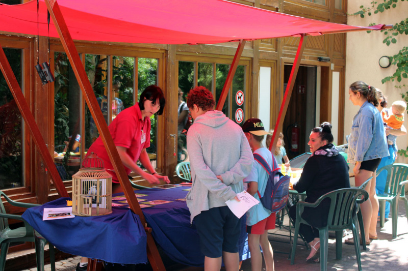 SILBERSALZ Festival im Zoo / Führung: “Beziehungskisten im Tierreich” SILBERSALZ Festival im Zoo / Führung: “Beziehungskisten im Tierreich”