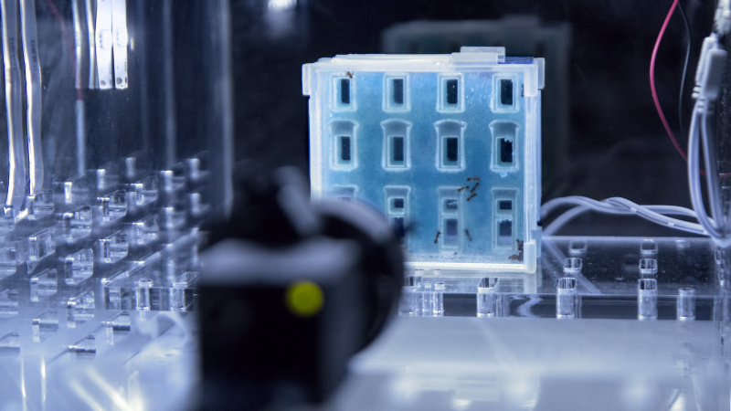 SILBERSALZ Science & Media Awards - Archi Bio