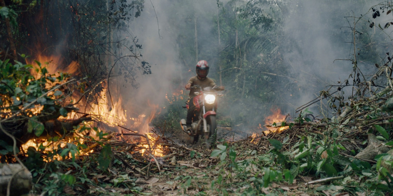 The Territory | credit: Alex Pritz/Amazon Land Documentary | Silbersalz 2022 The Territory | credit: Alex Pritz/Amazon Land Documentary | Silbersalz 2022