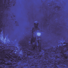 The Territory | credit: Alex Pritz/Amazon Land Documentary | Silbersalz 2022 The Territory | credit: Alex Pritz/Amazon Land Documentary | Silbersalz 2022