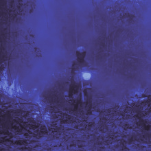 The Territory | credit: Alex Pritz/Amazon Land Documentary | Silbersalz 2022 The Territory | credit: Alex Pritz/Amazon Land Documentary | Silbersalz 2022