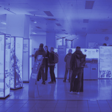 Wissens- und Strukturwandelmarkt