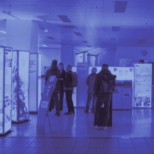 Wissens- und Strukturwandelmarkt
